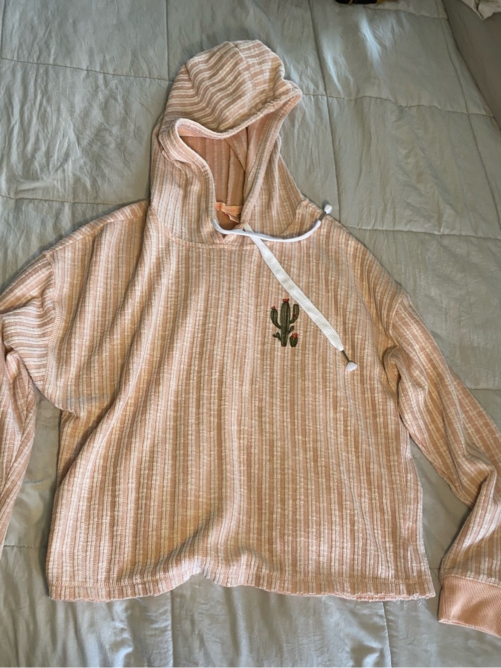 Rebellious One Blush Striped Hooded Sweater with Cactus Embroidery